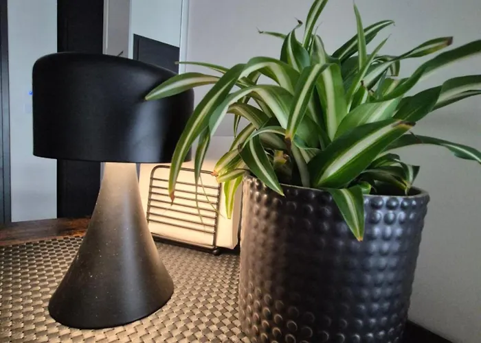 Vizzitus Premium Manufaktura * Łódź