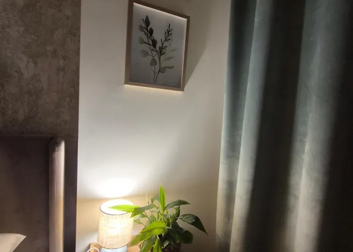 Vizzitus Premium Manufaktura